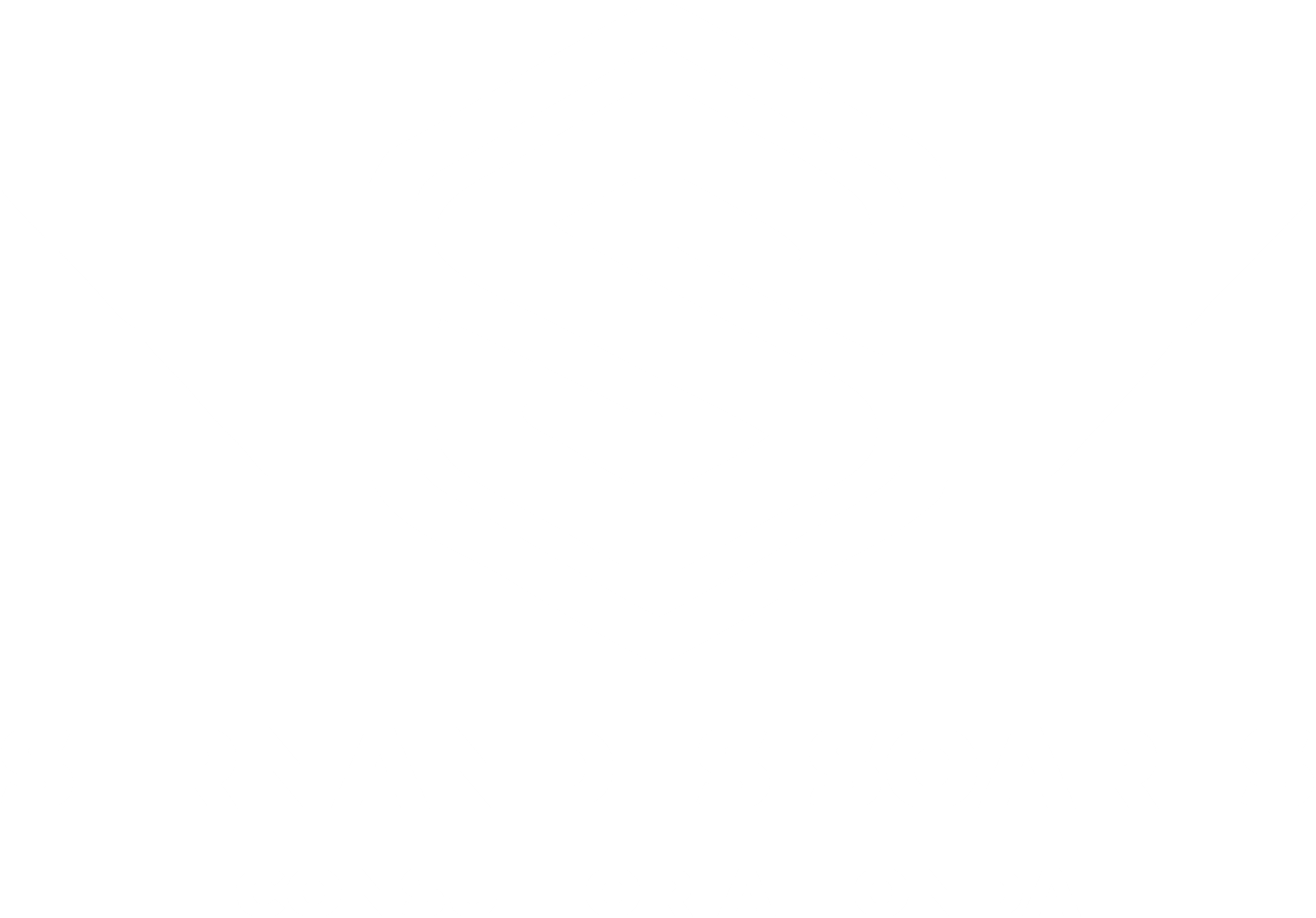 Sernandes Soares - Parceiro VisionX